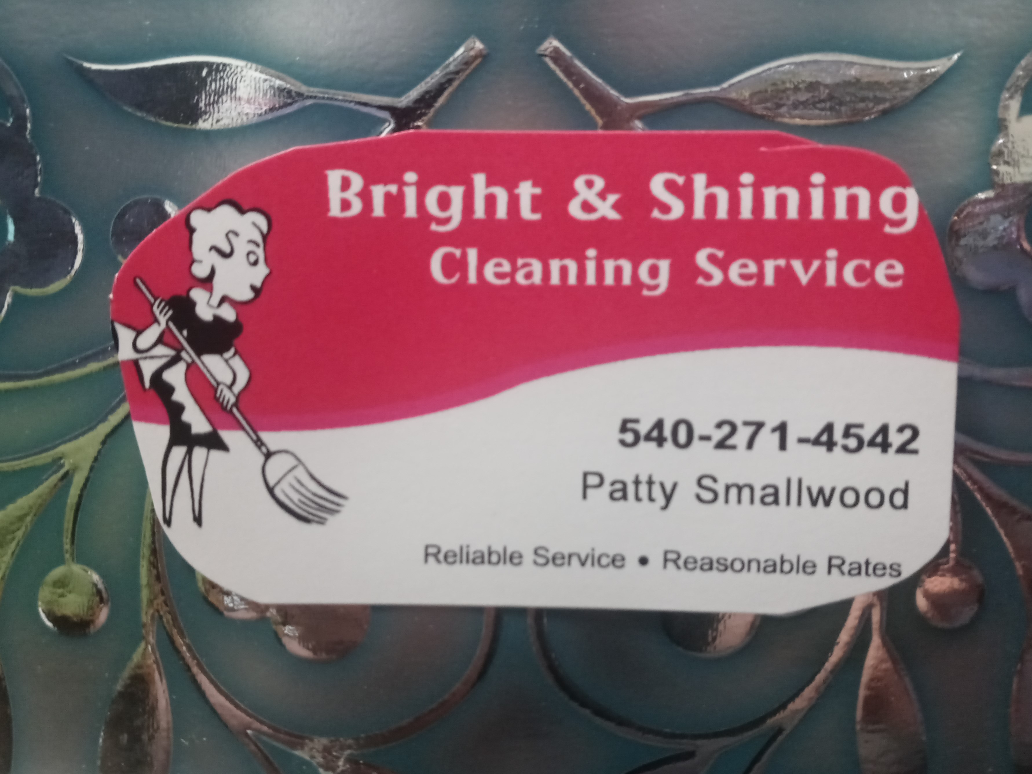 Avatar for Bright & Shining Cleaning