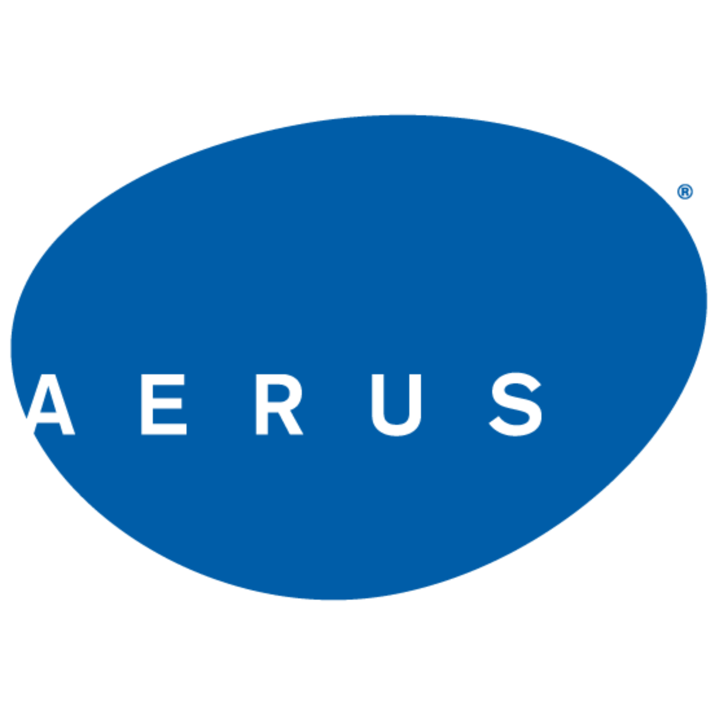 Aerus Raleigh logo