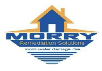 Avatar for Morry Remediation Solutions