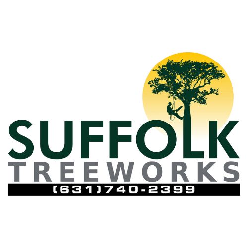 mailforcitati.onsandmarketings@gmail.com logo