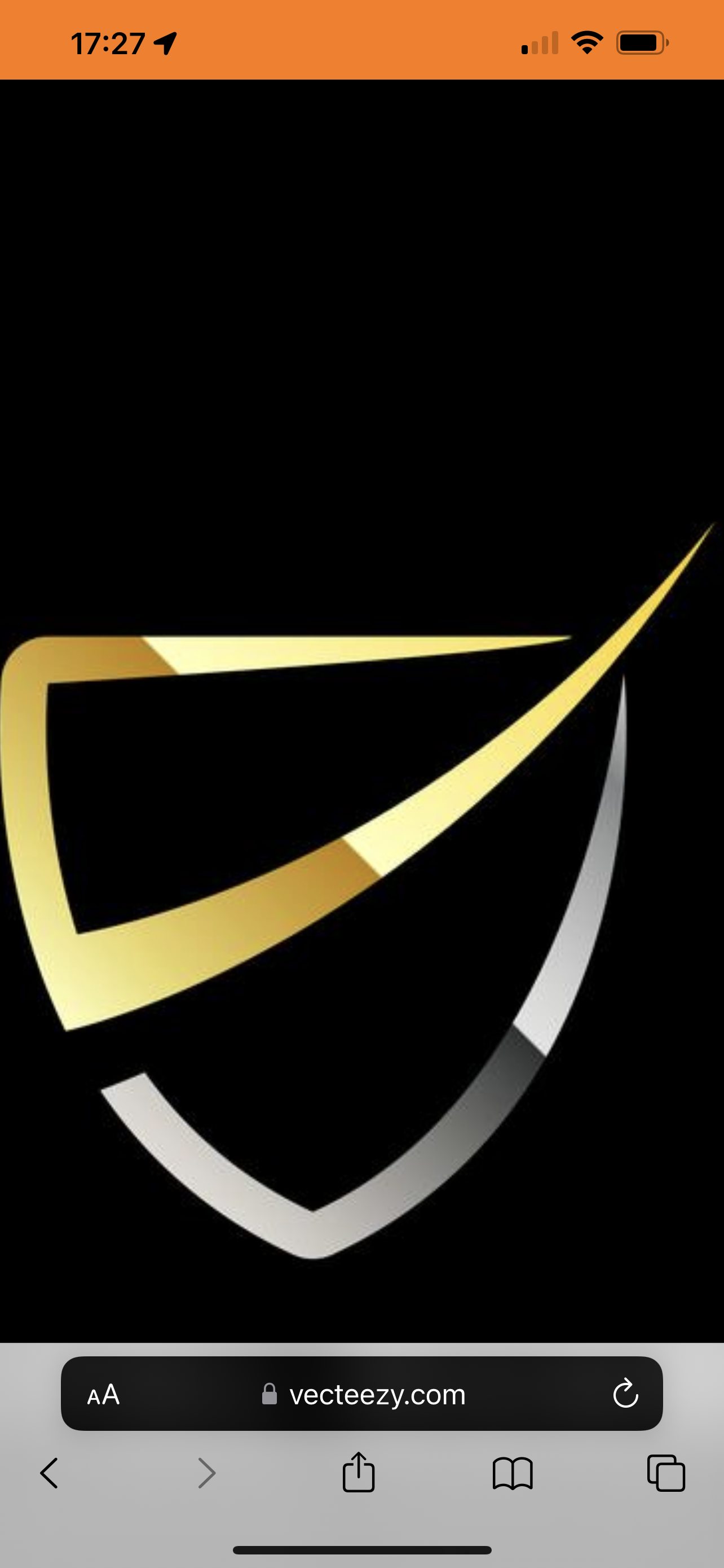 Solutions Net IT logo