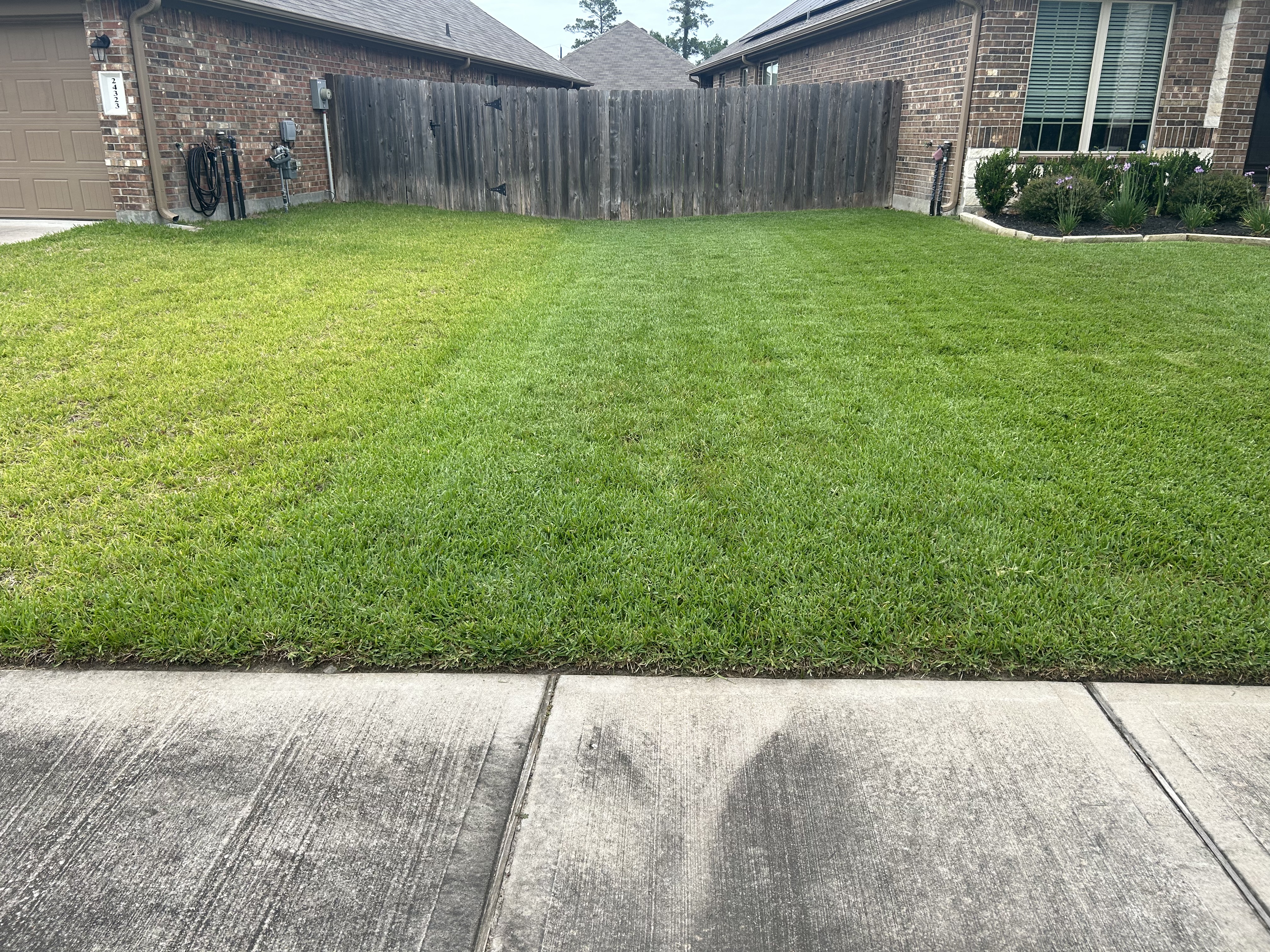 Taylor lawn care logo