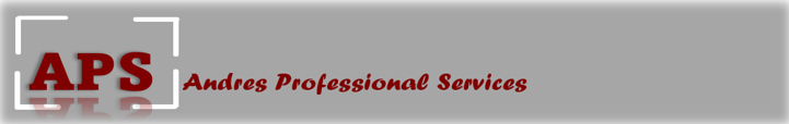 Andres Professional Services LLC logo