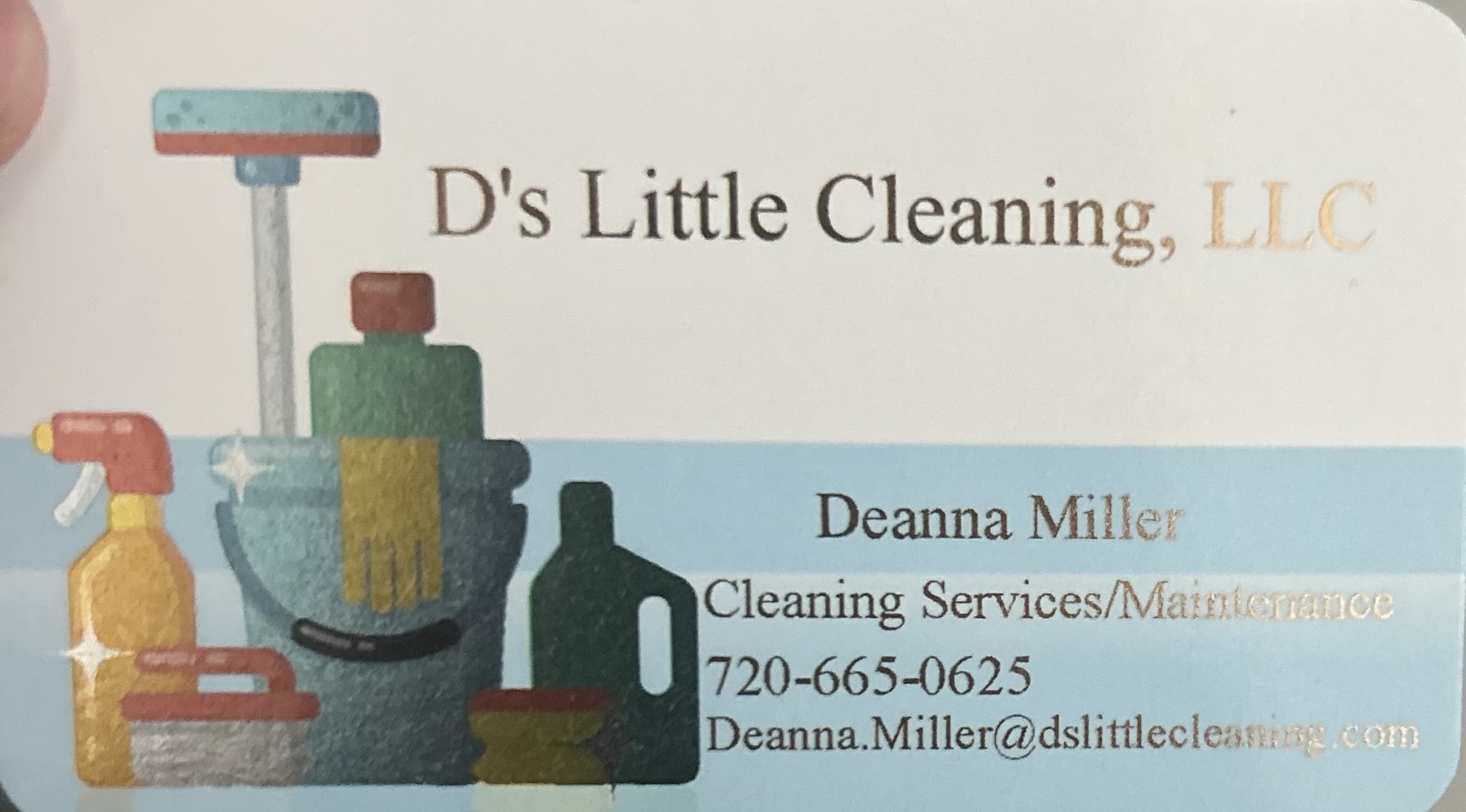 Ds Little Cleaning logo
