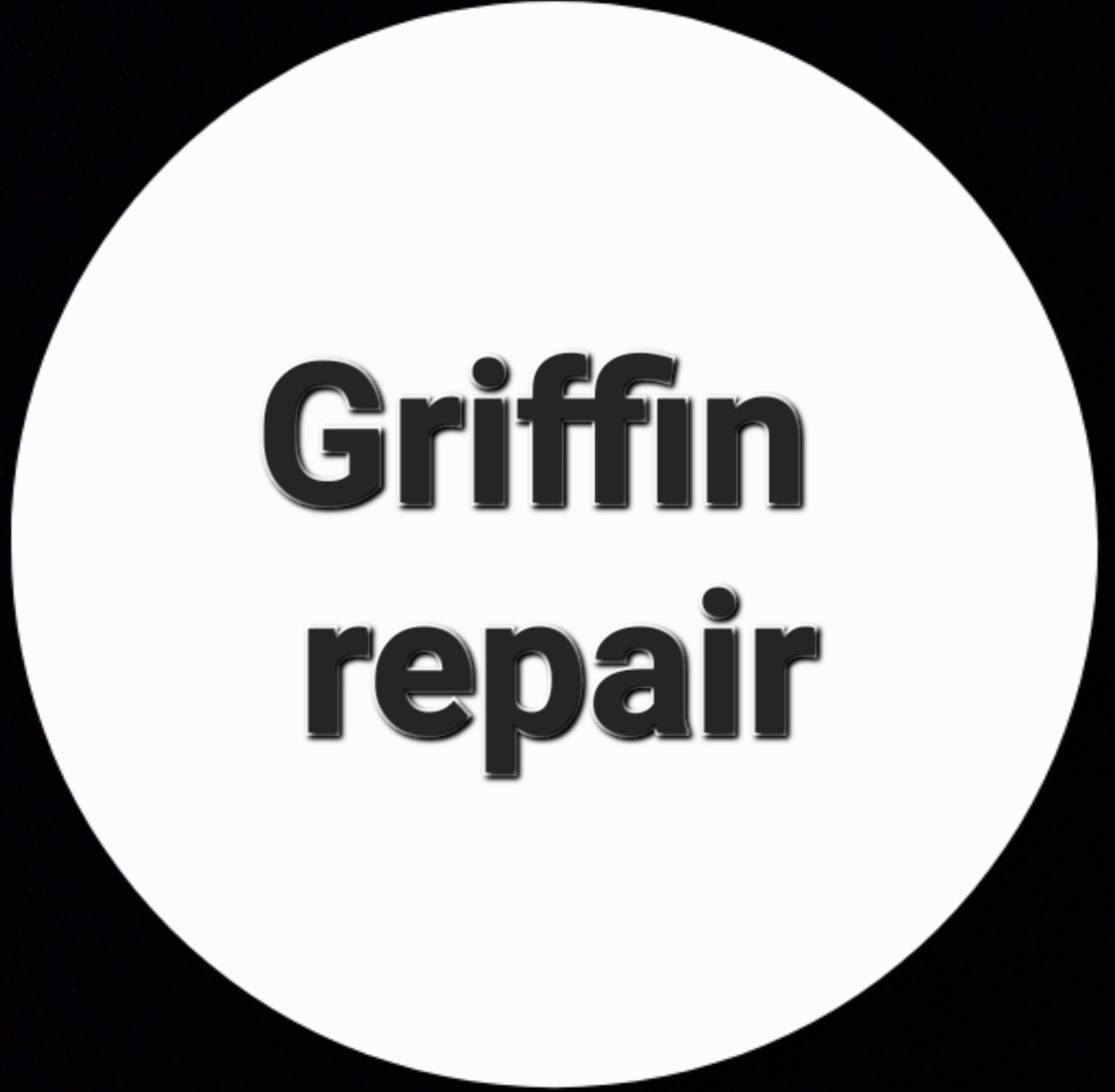 Avatar for Griffin repair
