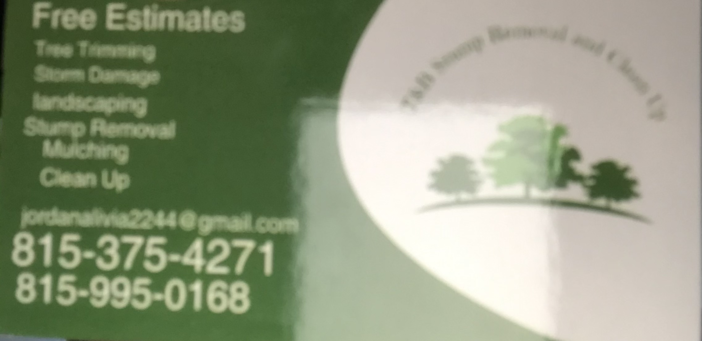T&J Stump Removal and Clean Up logo