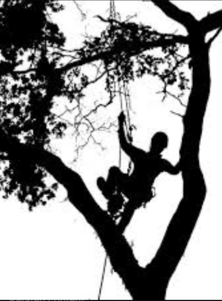 Gages tree removal logo