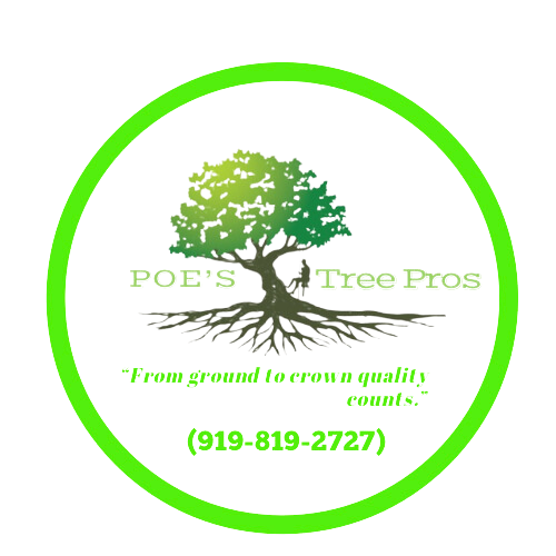 Avatar for Poes Tree Pros