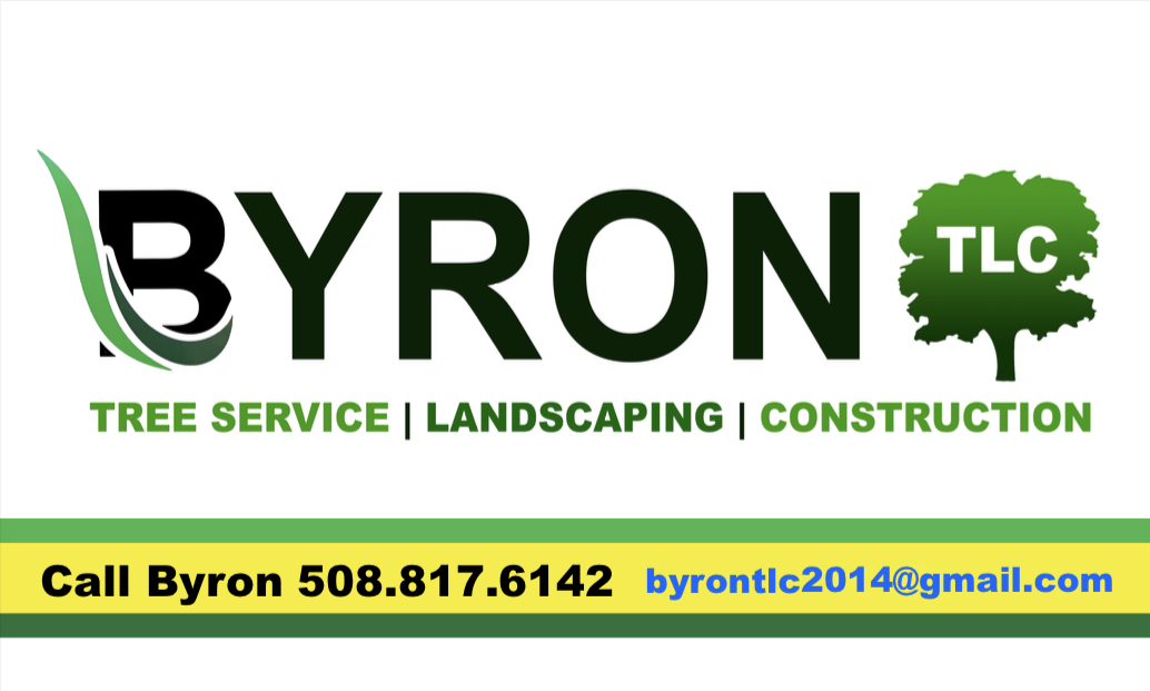 B&P Tree Service logo