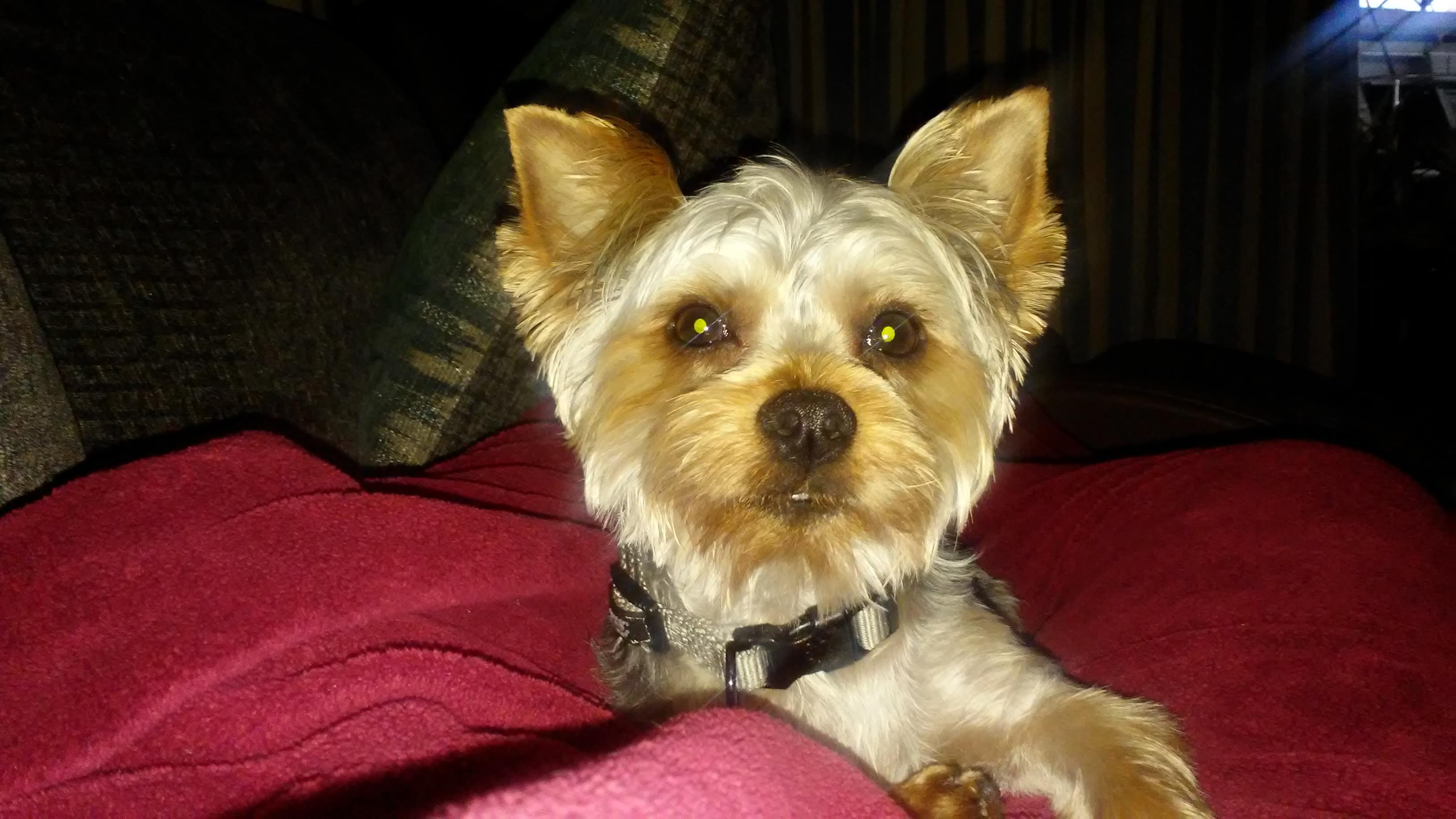 Avatar for Absolute Blast