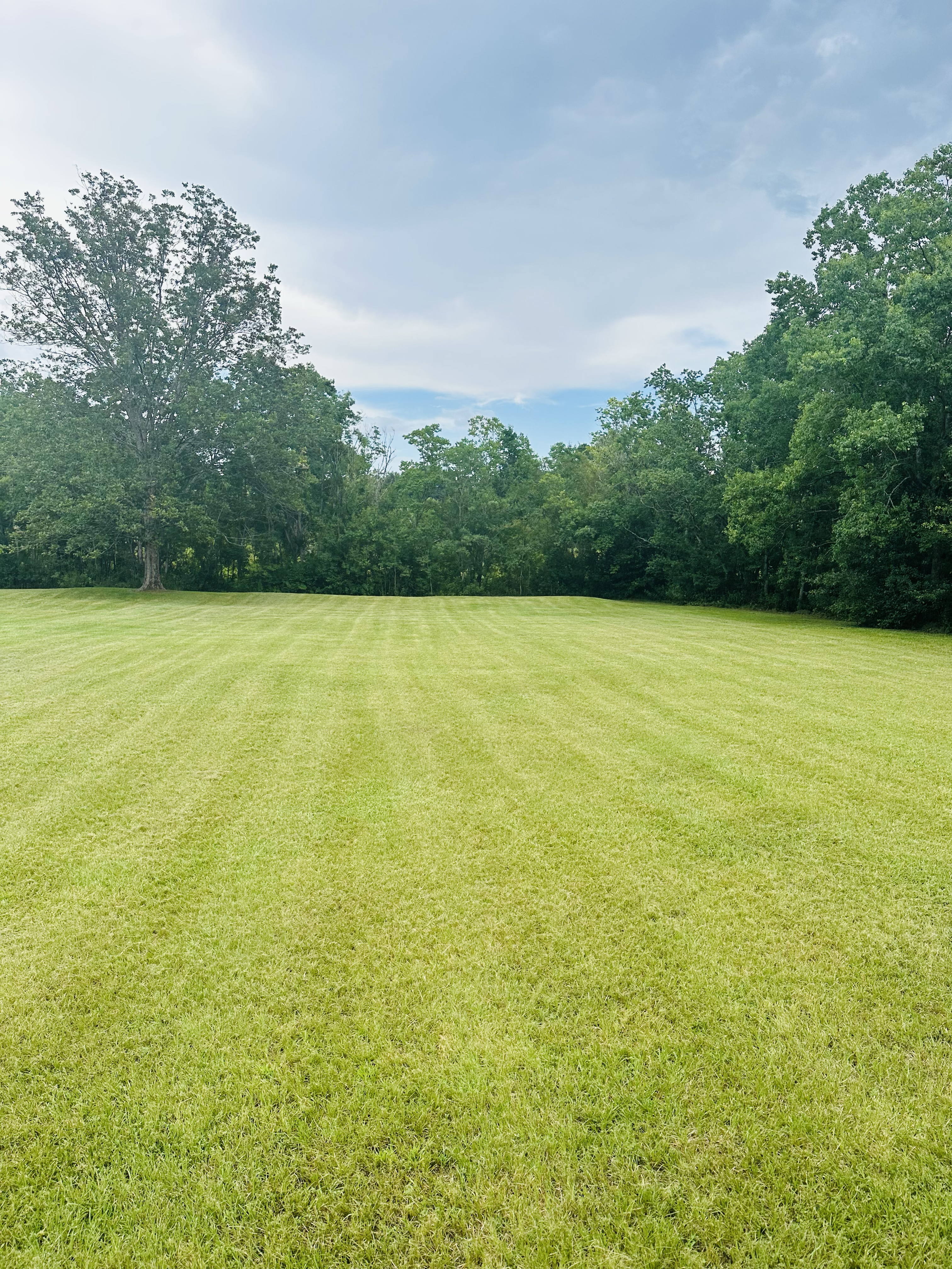 Avatar for Corys Top Quality Lawn Care Enterprise LLC