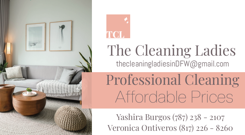 The Cleaning Ladies logo