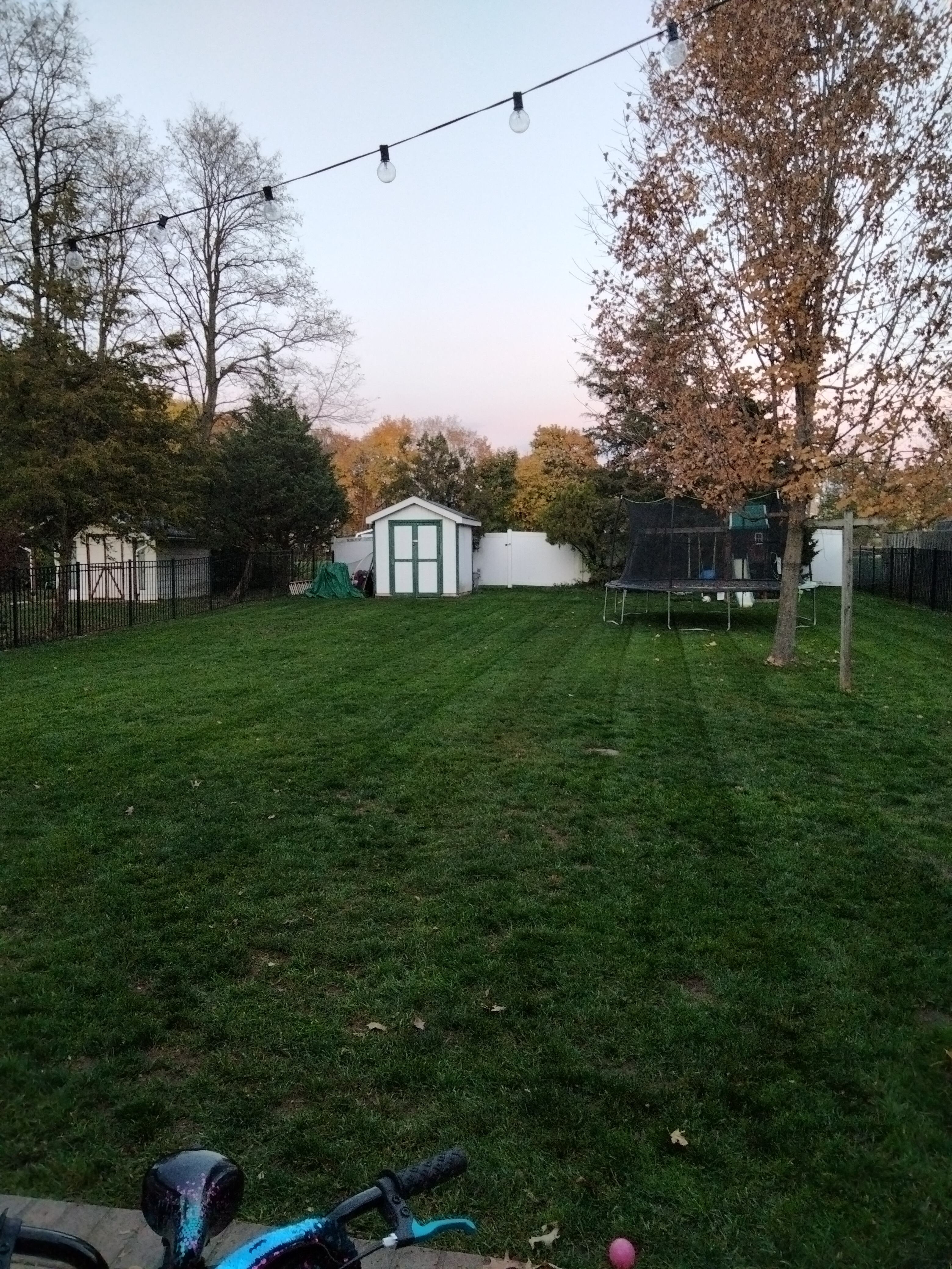 RS Lawn's logo