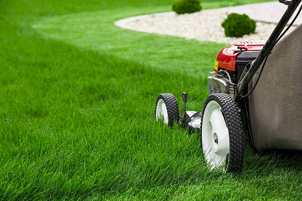 Avatar for Lawn Lush
