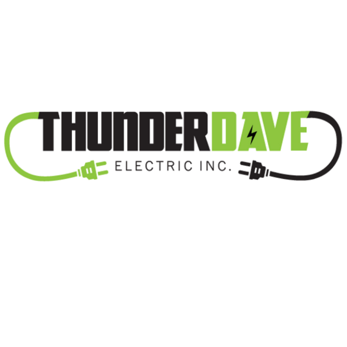 Avatar for THUNDERDAVE ELECTRIC INC.