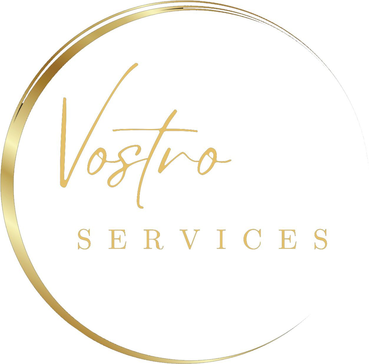 Logo for Vostro services