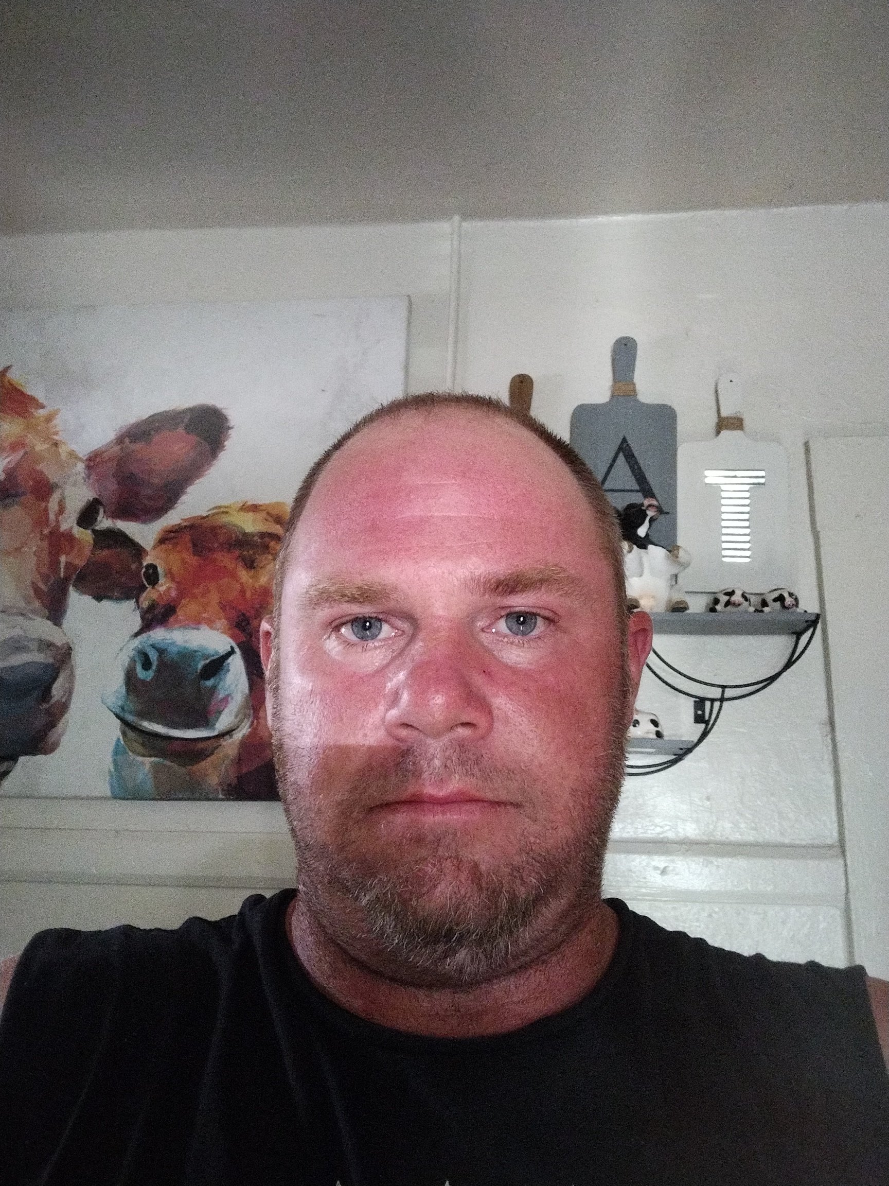 Avatar for A&L Handyman services