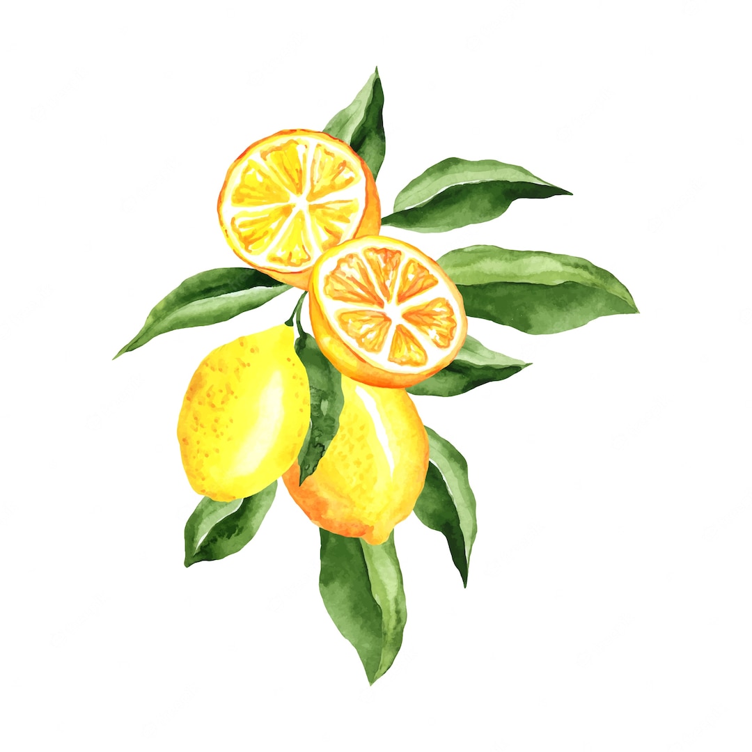 Fresh Start Cleaning & Upkeep logo