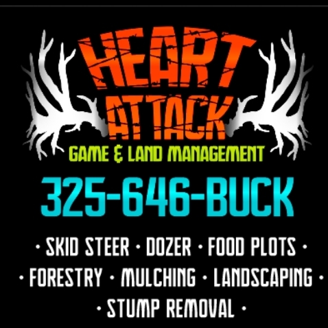 Avatar for Heart Attack Game And Land Management