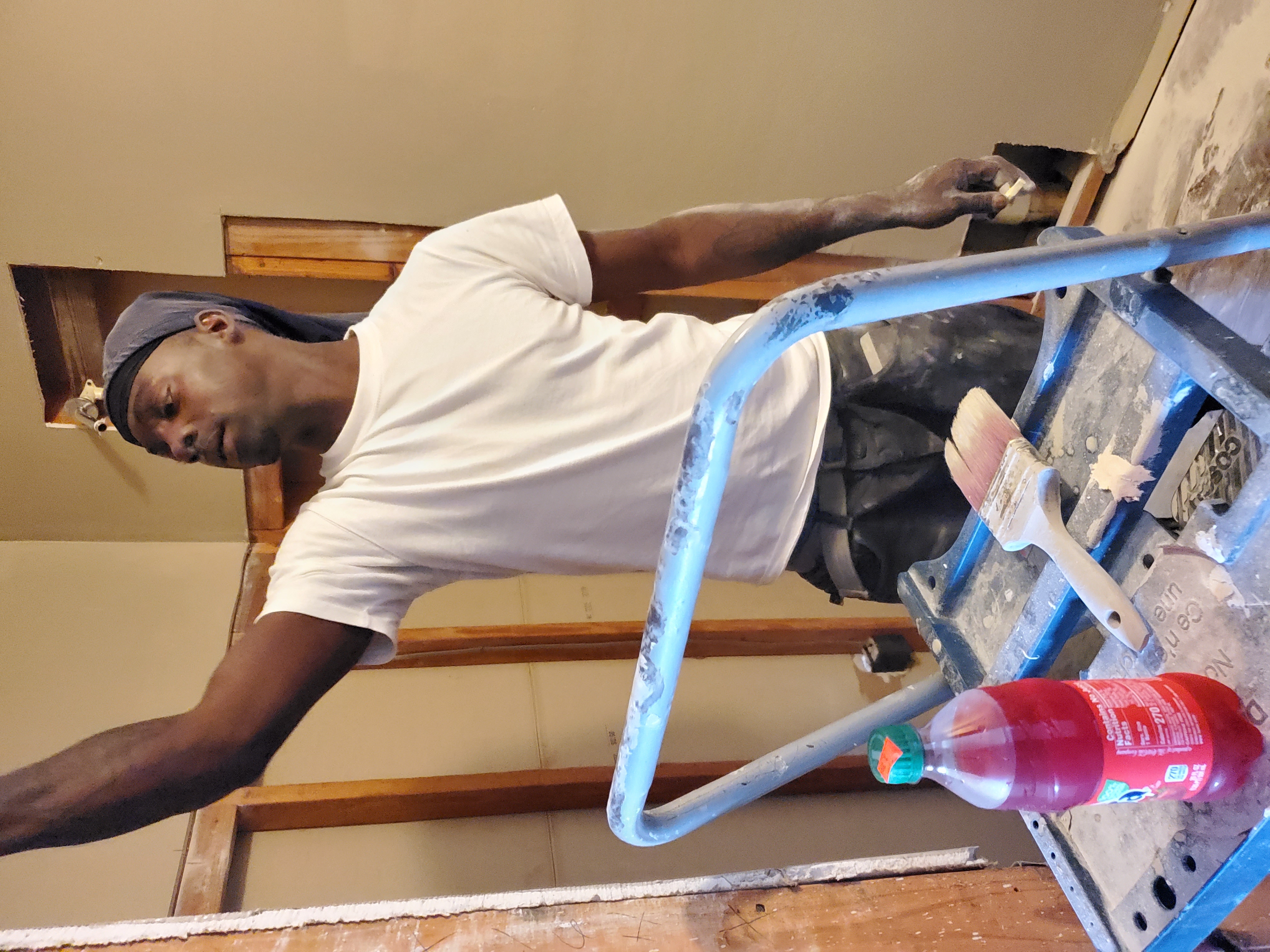 Wilkins pro services logo