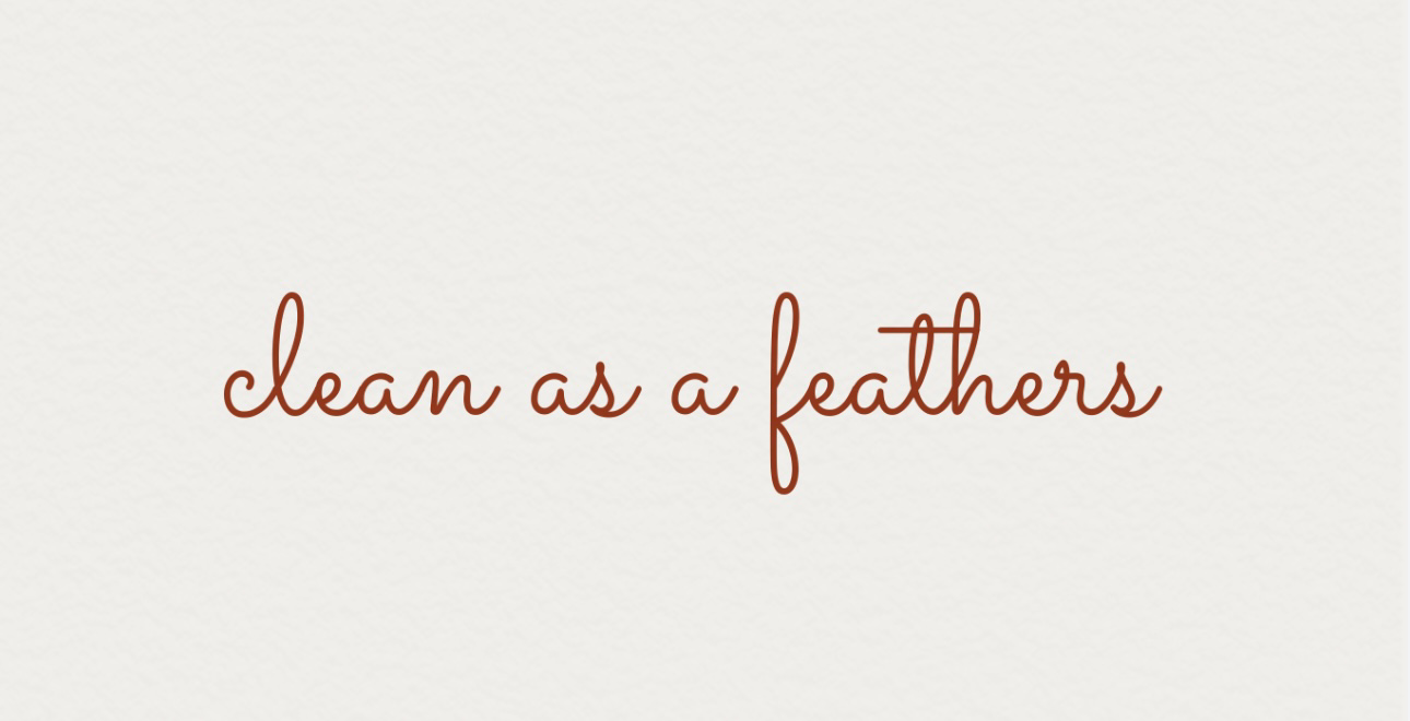 Clean as a Feathers logo