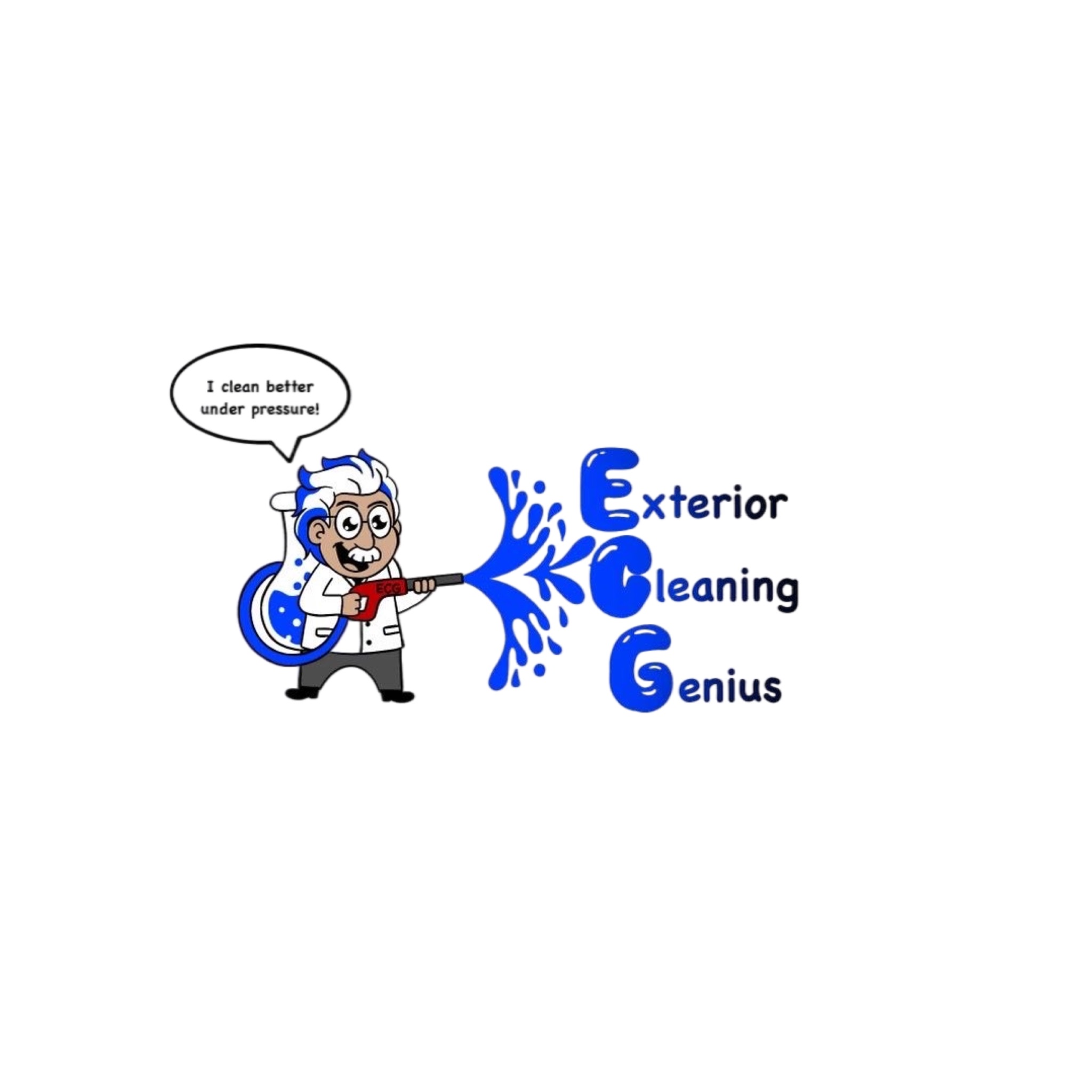 Avatar for exterior cleaning genius