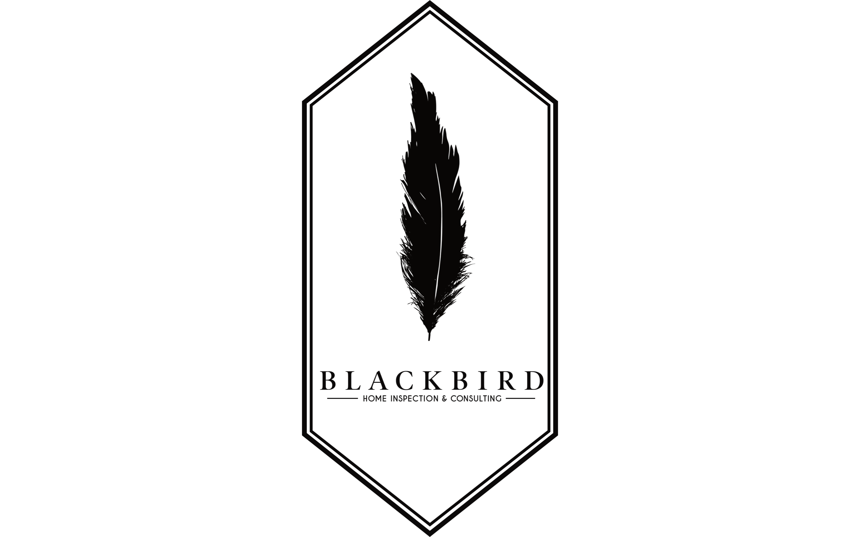Blackbird Home Inspection & Consulting LLC logo