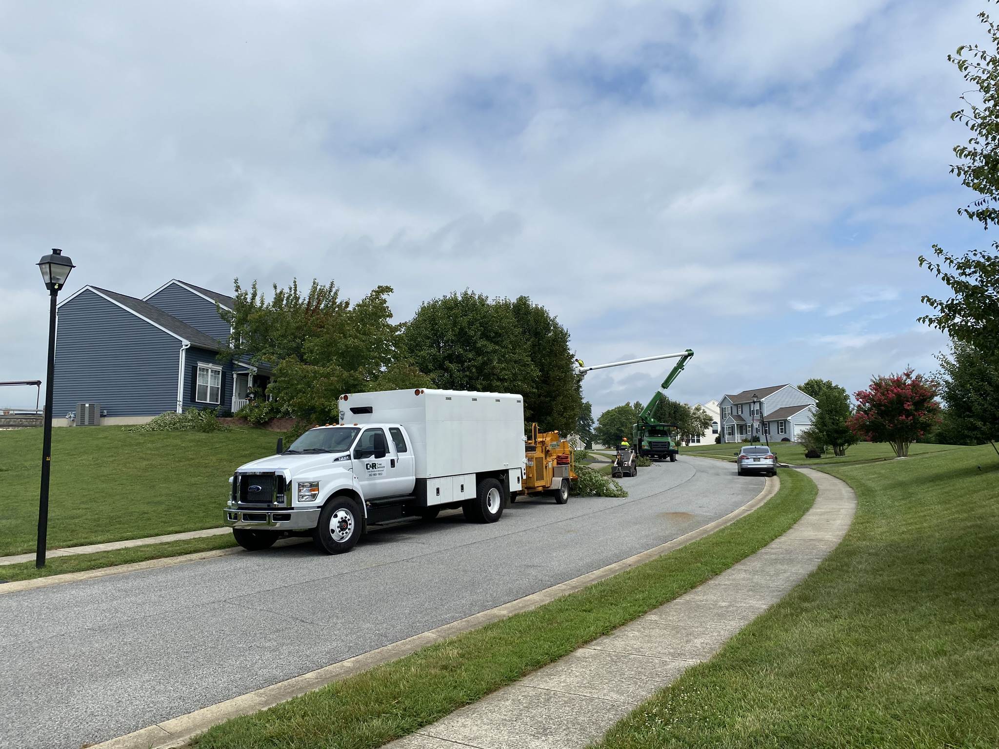 C & R Tree Service logo