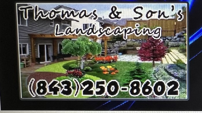 Thomas and Sons Landscaping logo