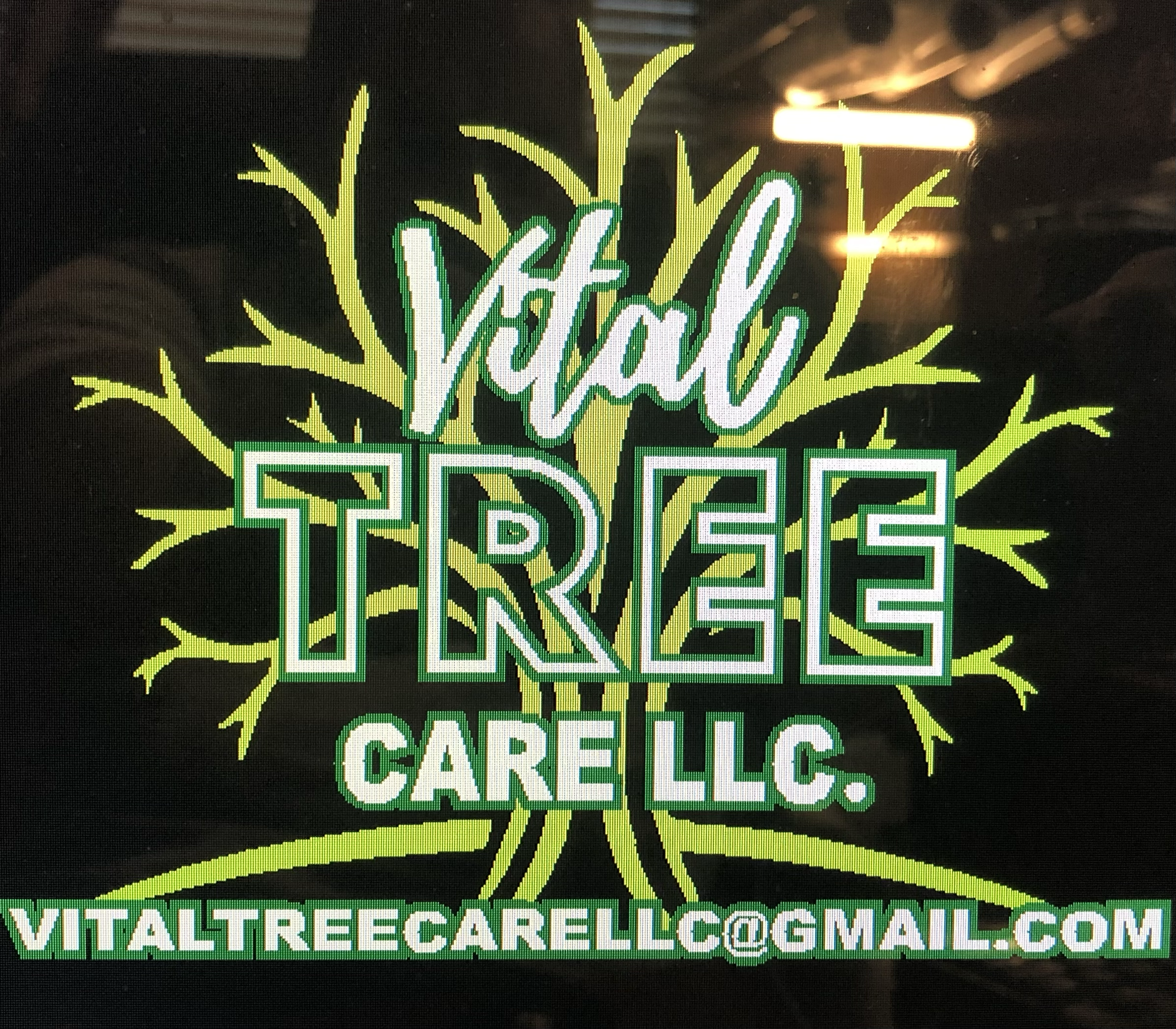 Vital Tree Care logo