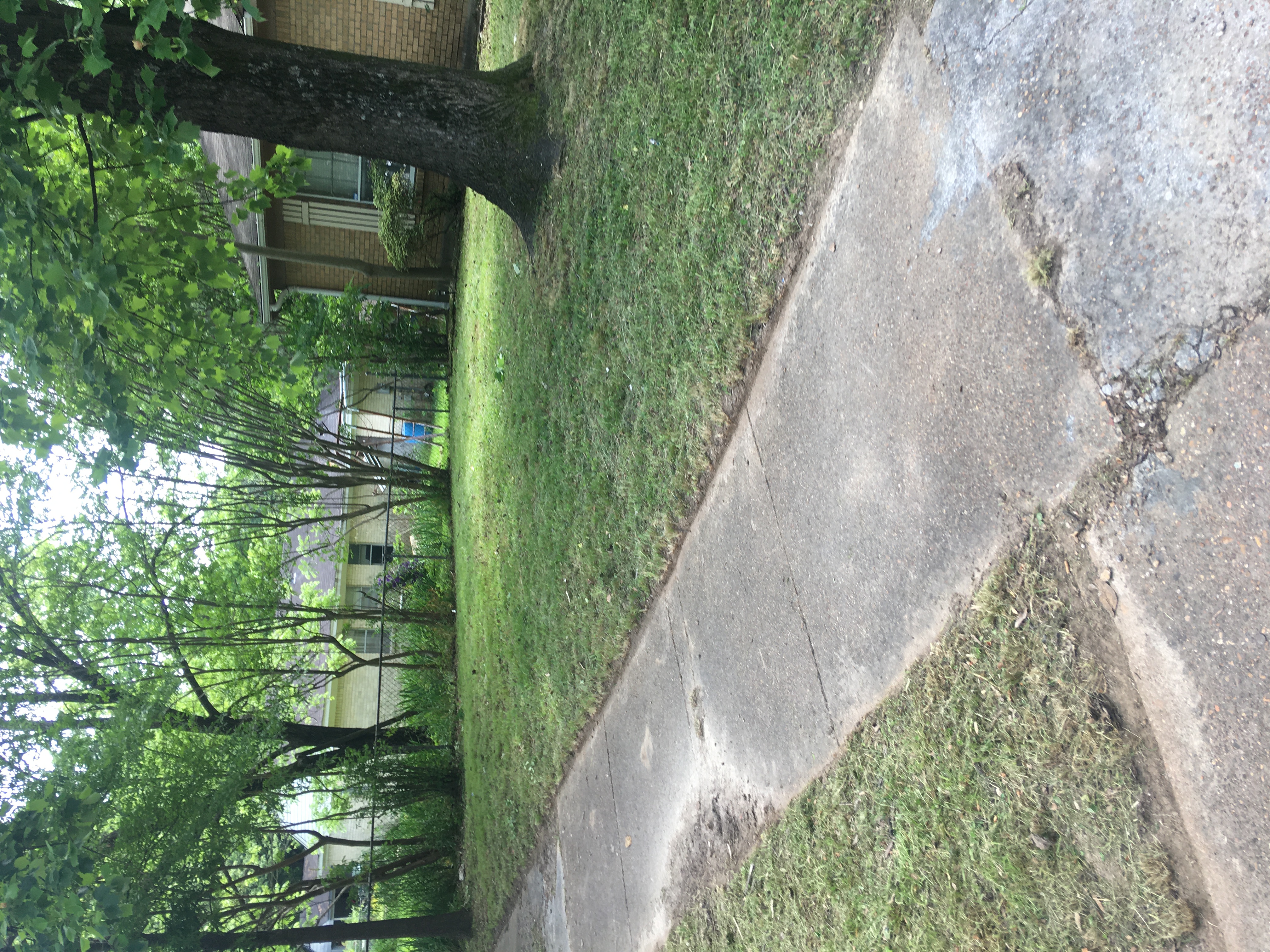 Changing Green Landscaping & Home Improvements logo