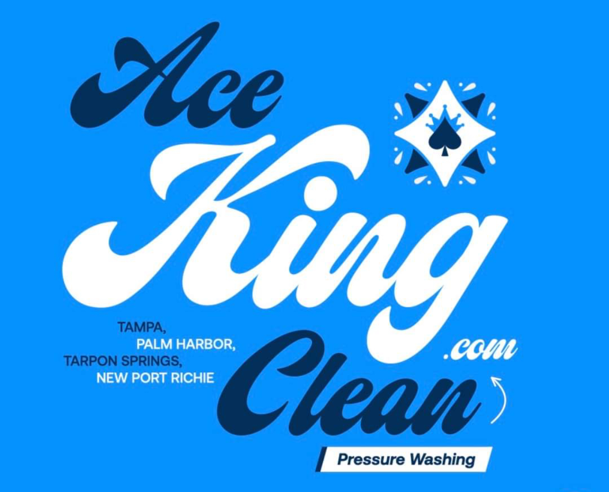 Avatar for Ace King Clean