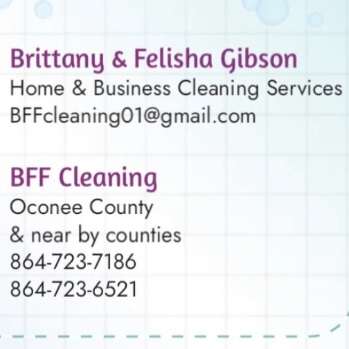 BFF's Cleaning Service logo