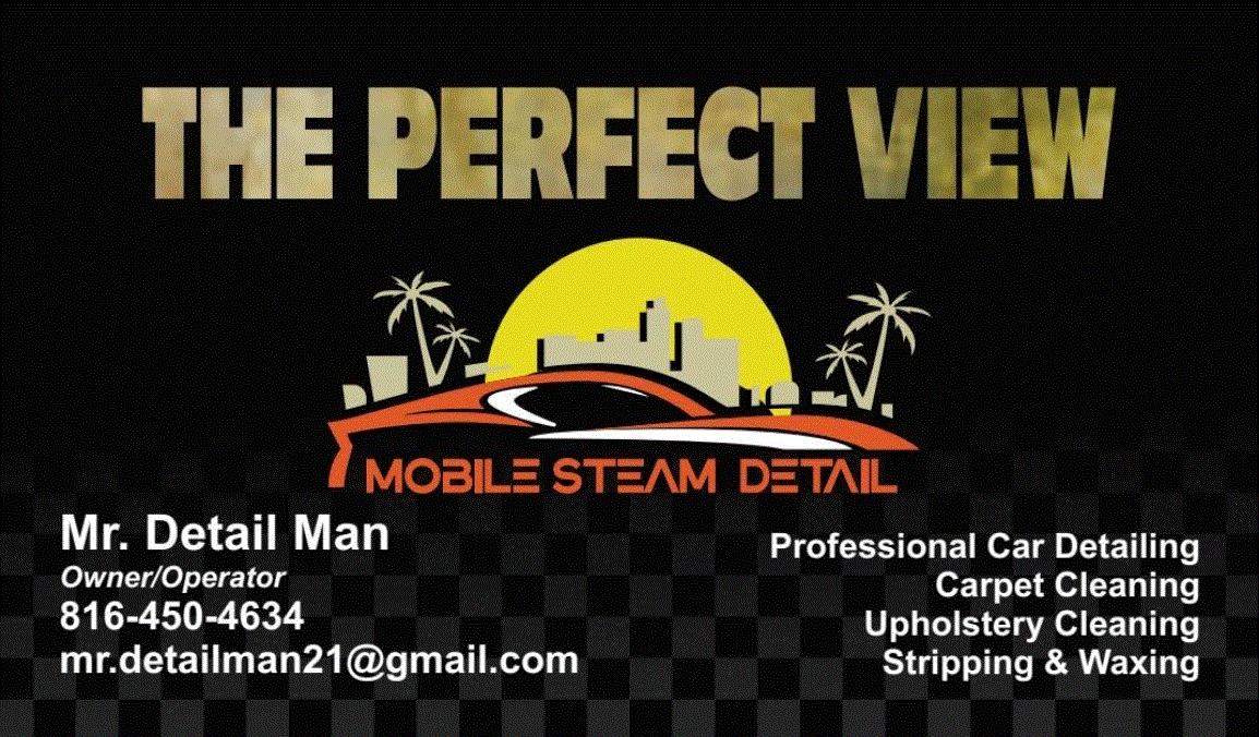Avatar for The Perfect View Mobile Steam Detail