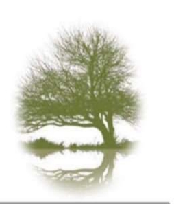 Avatar for Pond Hollow Landscape & Design LLC