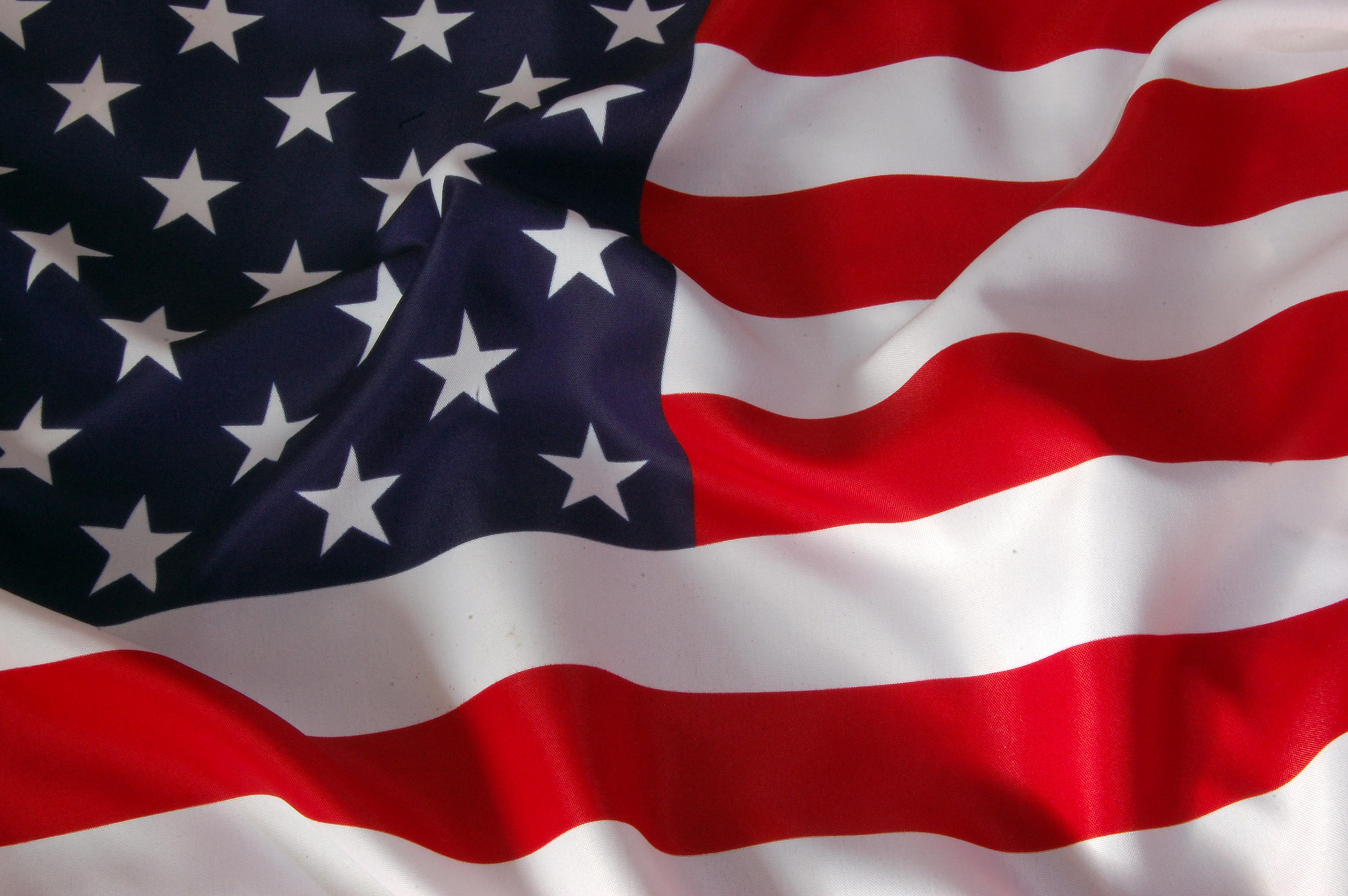 Veteran Clean Up Service, LLC logo
