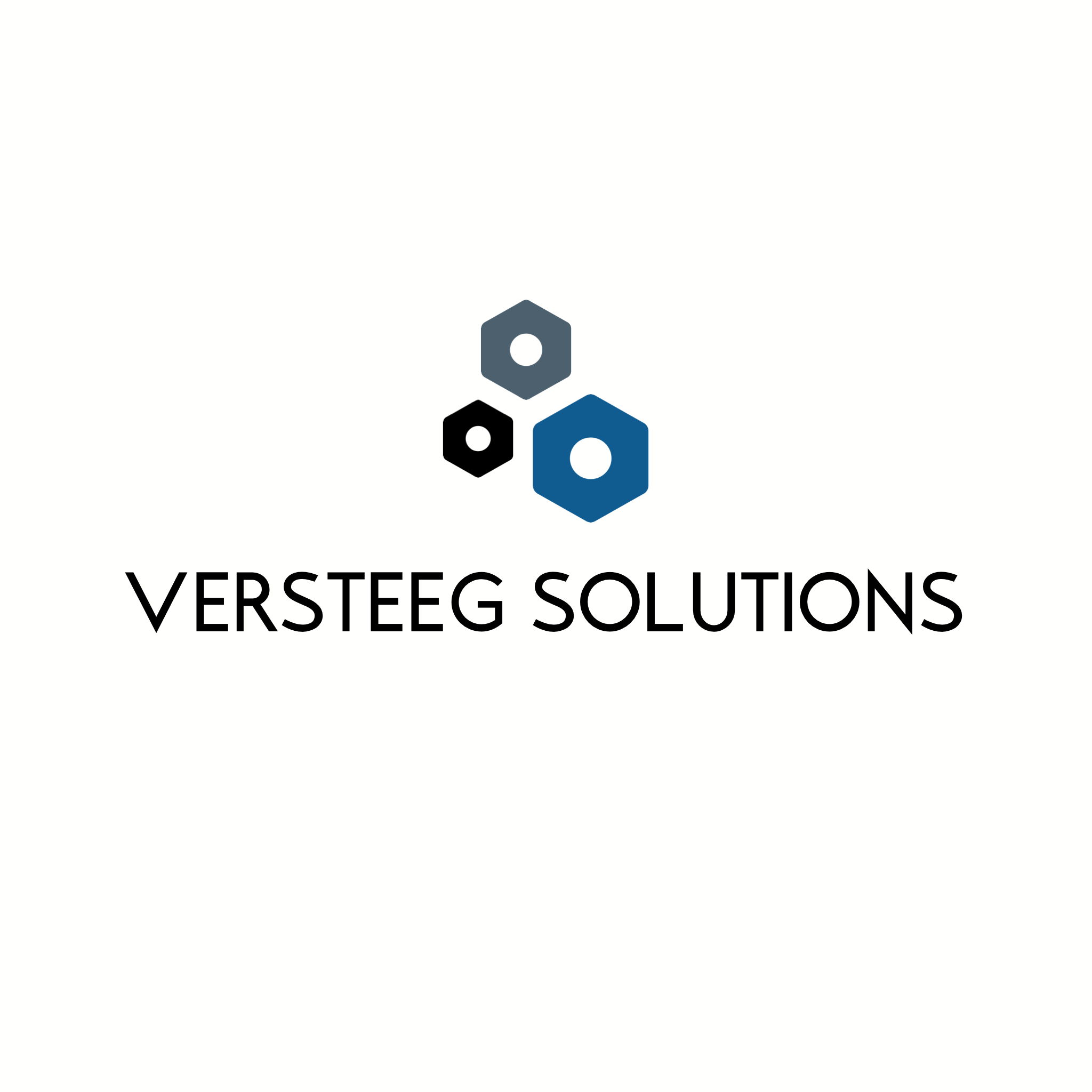Versteeg Solutions, LLC logo