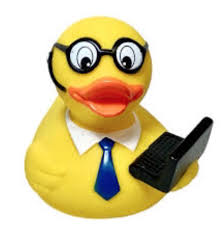 Duck It! logo