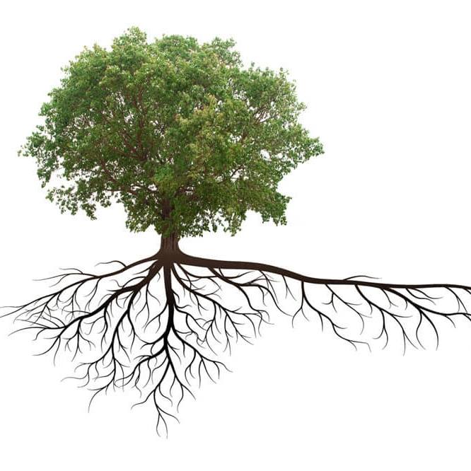 Sustainable Land Management logo