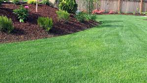 Avatar for Lawn Doctor