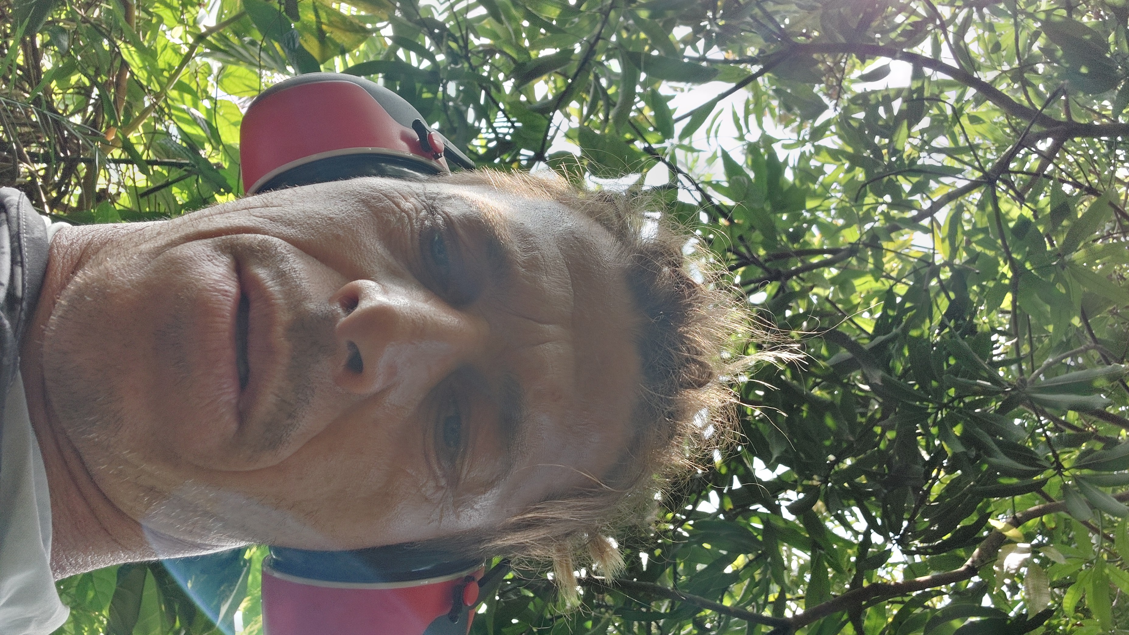 Avatar for Colmans gardens