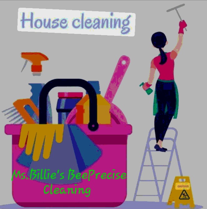 Bee Precise Cleaning & Removal logo