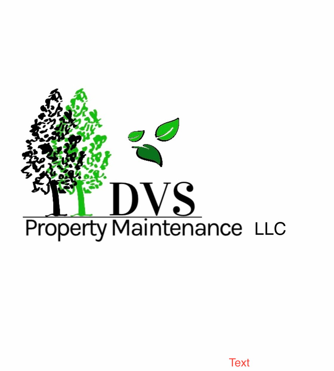 DVS Property Maintenance LLC logo