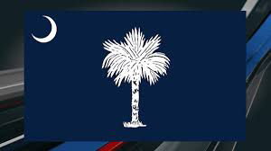 Lowcountry Power Washing logo