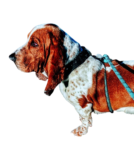 Avatar for Copper Top Cleaners