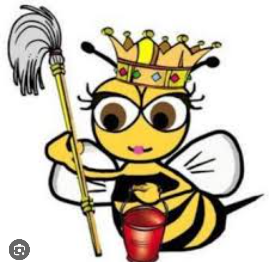 The cleaning bs logo
