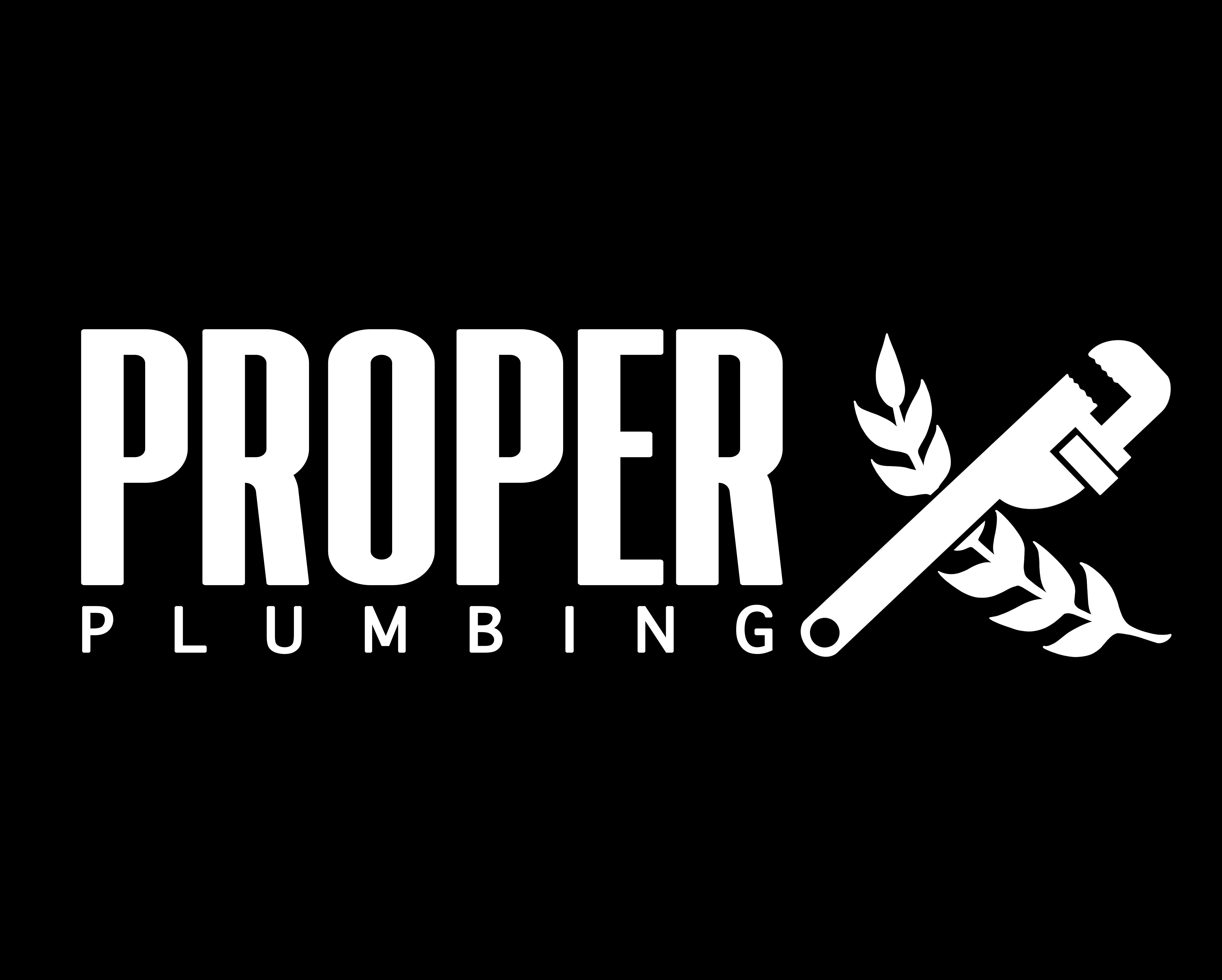 Avatar for Proper Plumbing
