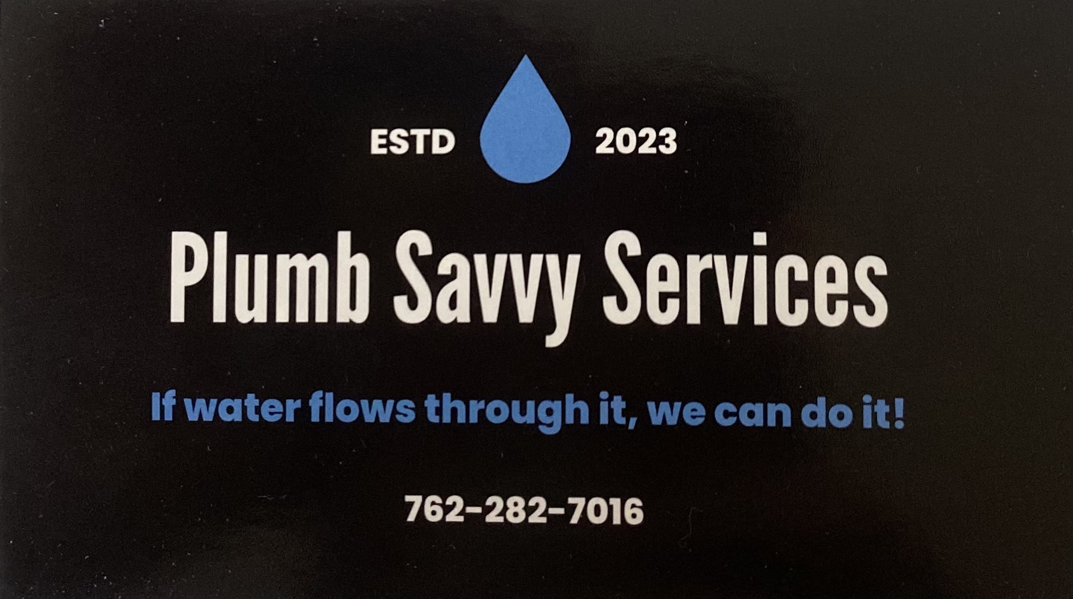 Plumb Savvy Services logo
