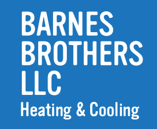 Avatar for Barnes Indy