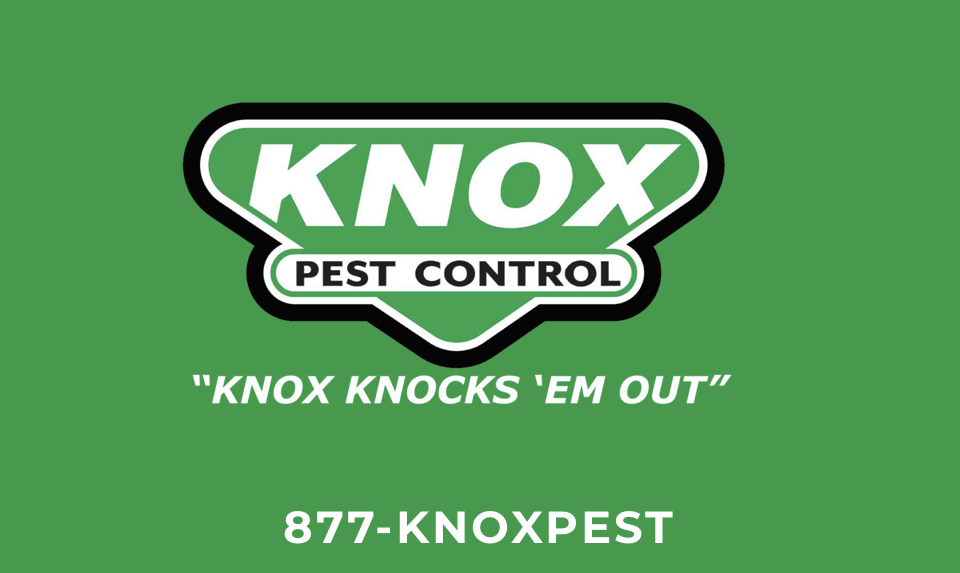 Knox Pest Control logo